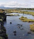 Snorkeling-water-iceland-north-europe-travel