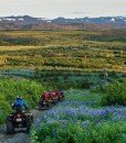 atv-green-summer-iceland-north-europe-travel