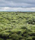 lava-fields-iceland-north-europe-travel